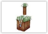 WeedPro® Lawn Care - Aeration